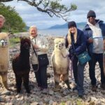 Loch Ness with Castles, Beaches, Mountains and MONSTERS - Who Would Enjoy This Tour?