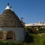 Locorotondo 2-hour private tour: a place to fall in love with - Who Should Consider This Tour?