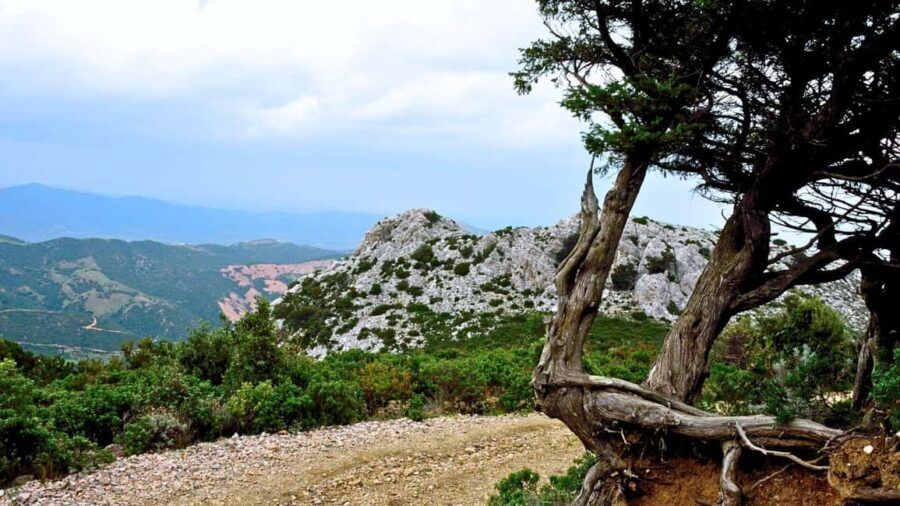 Lodè: trekking on Montalbo - What to Expect from the Montalbo Trek