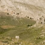 Lodè: Trekking Trip to Punta Cupeti on Montalbo - Final Thoughts: Is It Worth It?