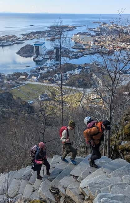 Lofoten: Climb Svolværgeita with a certified tour guide and experience the adventure! - Who Is This Tour Best Suited For?
