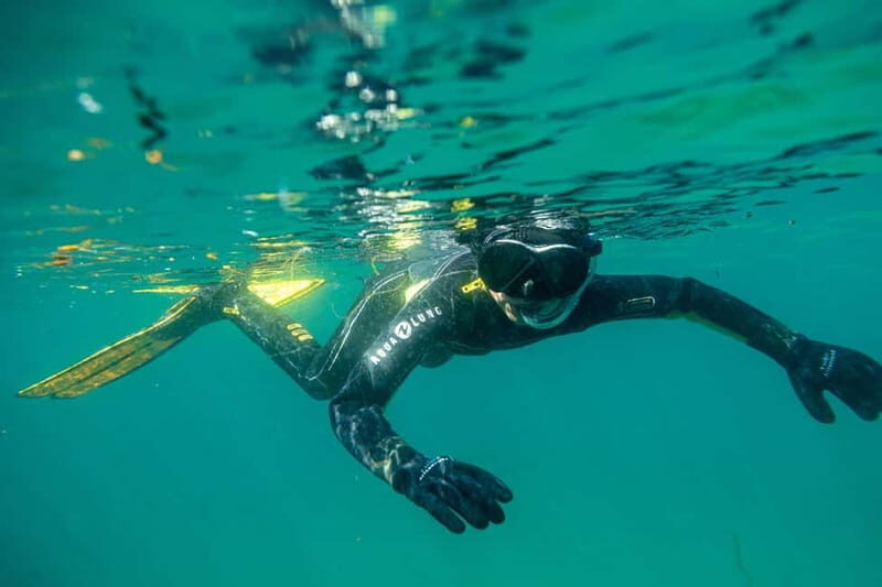 Lofoten: Family Snorkeling Tour - Final Thoughts