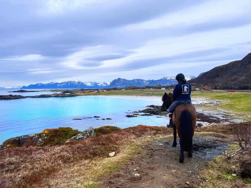Lofoten: Guided Horse Riding Tour Over Hov and Hovsund - The Scenic Highlights