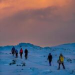 Lofoten: Half Day Snowshoe Tour - Pricing and Value