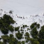 Lofoten Islands: Guided Snowshoeing Tour - Easy version - What You Need to Know Before Booking