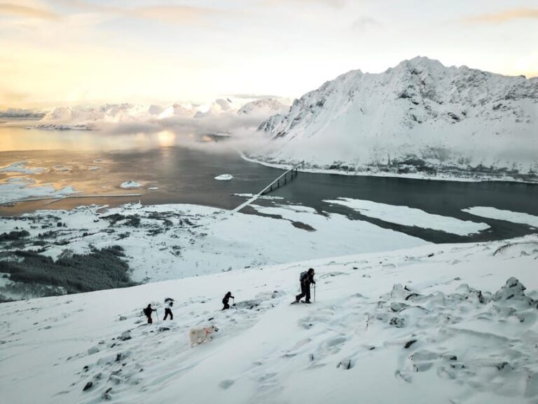 Lofoten Islands: Guided Snowshoeing Tour - Uphill version - What to Expect During Your Day