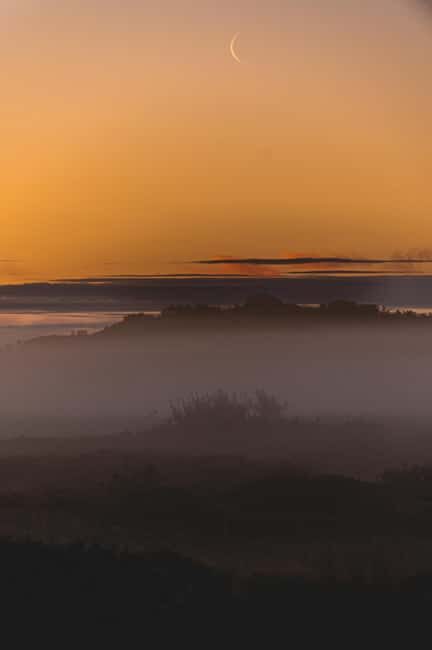 Lofoten: Midnight Magic Tour with Snacks and Drinks - Who Is This Tour Best For?