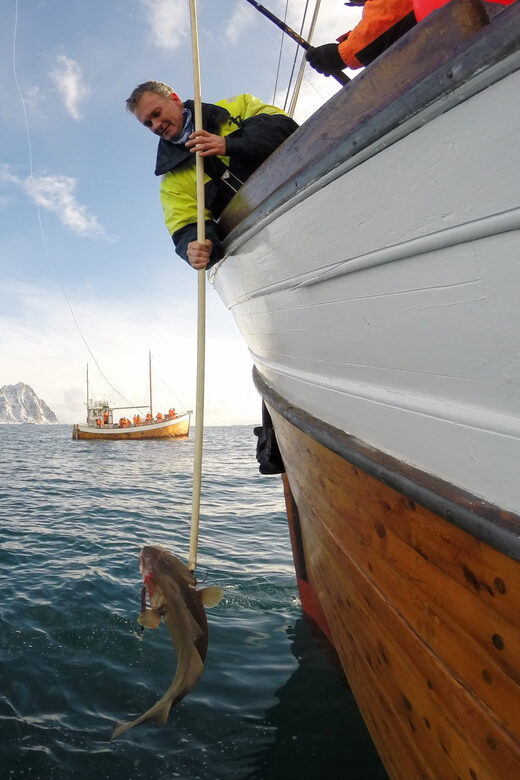 Lofoten: Traditional Fishing Trip - Price and Value