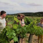 Loire Valley Half Day Wine Tour from Tours : Vouvray Wine Tasting - Who Should Consider This Tour?