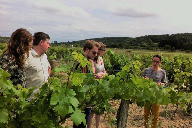 Loire Valley Half Day Wine Tour from Tours : Vouvray Wine Tasting - Who Should Consider This Tour?