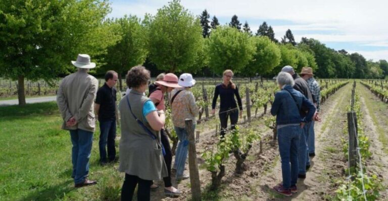 Loire Valley Tour & Wine Tasting Vouvray, Chinon, Bourgueil - What Makes This Tour Stand Out?