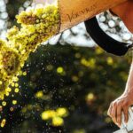 Loire Valley Wine Half Day Tour in Vouvray - Final Thoughts