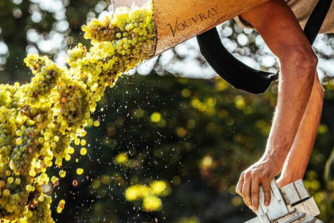 Loire Valley Wine Half Day Tour in Vouvray - Final Thoughts