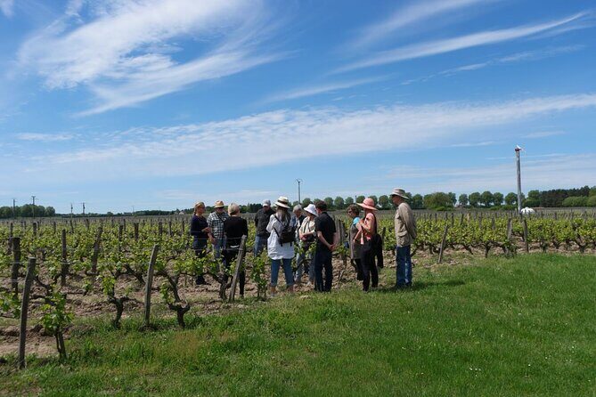 Loire Valley Wines Private Day Tour with Tastings from Tours or Amboise - Final Thoughts