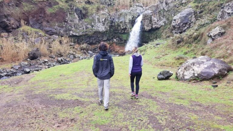 Lomba de São Pedro: Waterfall Hiking Tour with Tea Tasting - Dive Into the Details: Whats Included and What to Expect