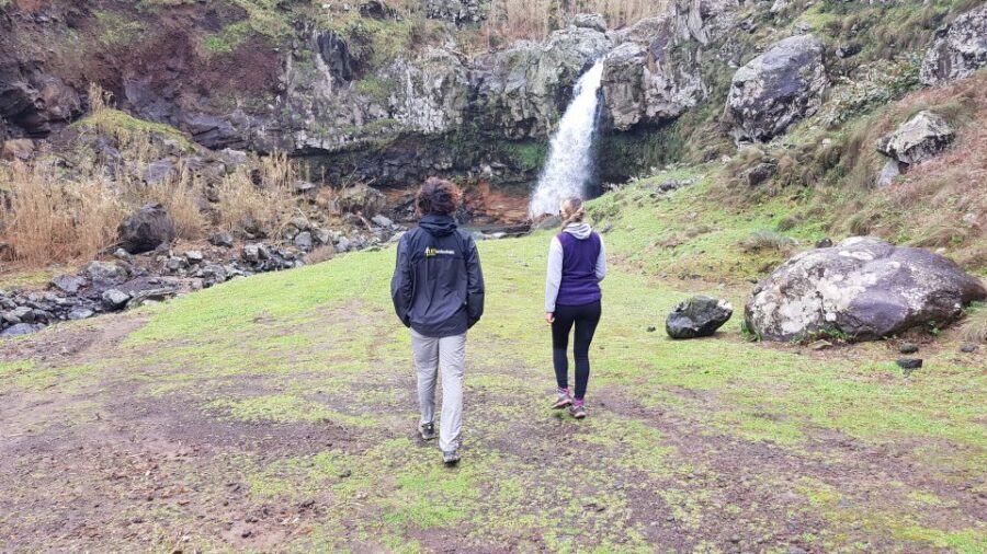 Lomba de São Pedro: Waterfall Hiking Tour with Tea Tasting - Dive Into the Details: Whats Included and What to Expect