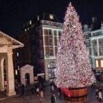 London: Christmas Lights Guided Walking Tour Small Group - What Makes This Tour Stand Out?