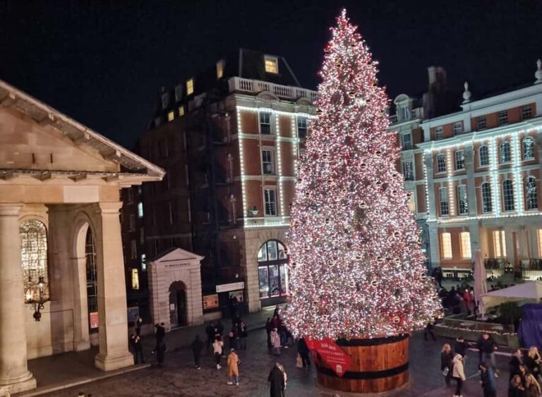 London: Christmas Lights Guided Walking Tour Small Group - What Makes This Tour Stand Out?