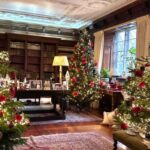 London: Christmas Lights Tour with Santa & Cookies Workshop - The Cookies Workshop and Overall Experience