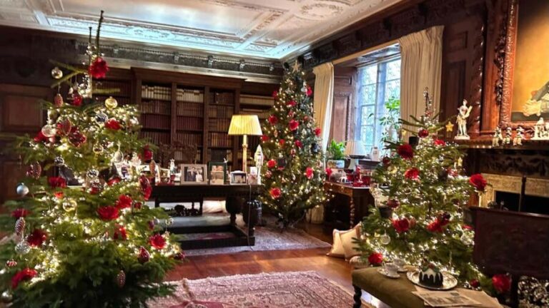 London: Christmas Lights Tour with Santa & Cookies Workshop - The Cookies Workshop and Overall Experience