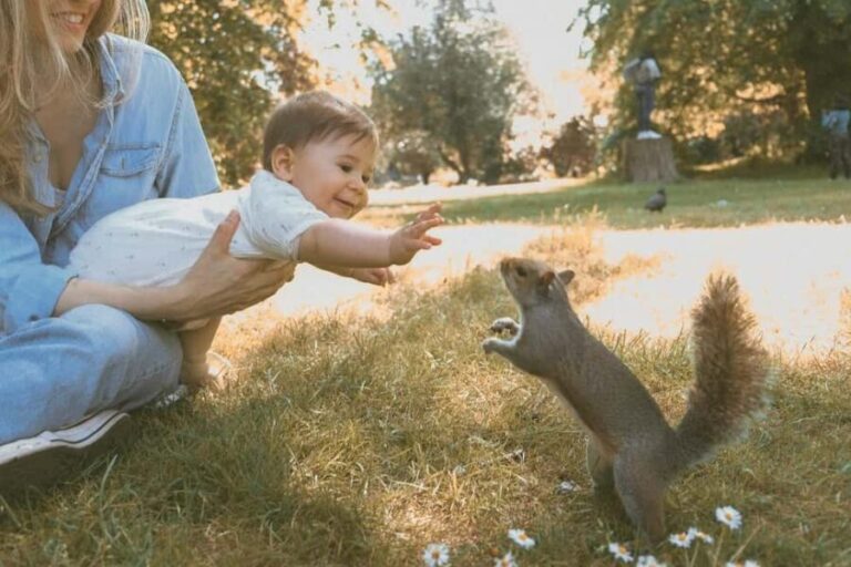 London: Greenwich Park Spring Photo Session - Who is This Tour Best For?