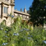 London: Guided Day Trip to Brighton and Seven Sisters - The Sum Up