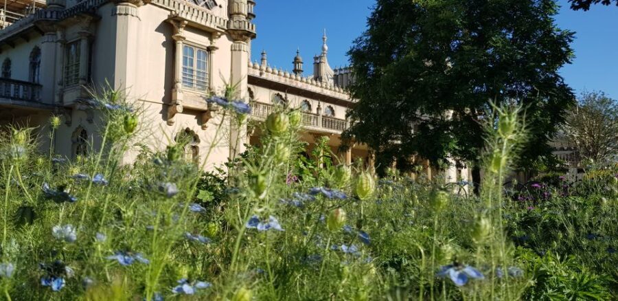 London: Guided Day Trip to Brighton and Seven Sisters - The Sum Up