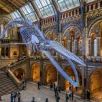 London: Guided Tour of the Natural History Museum - What the Reviews Say
