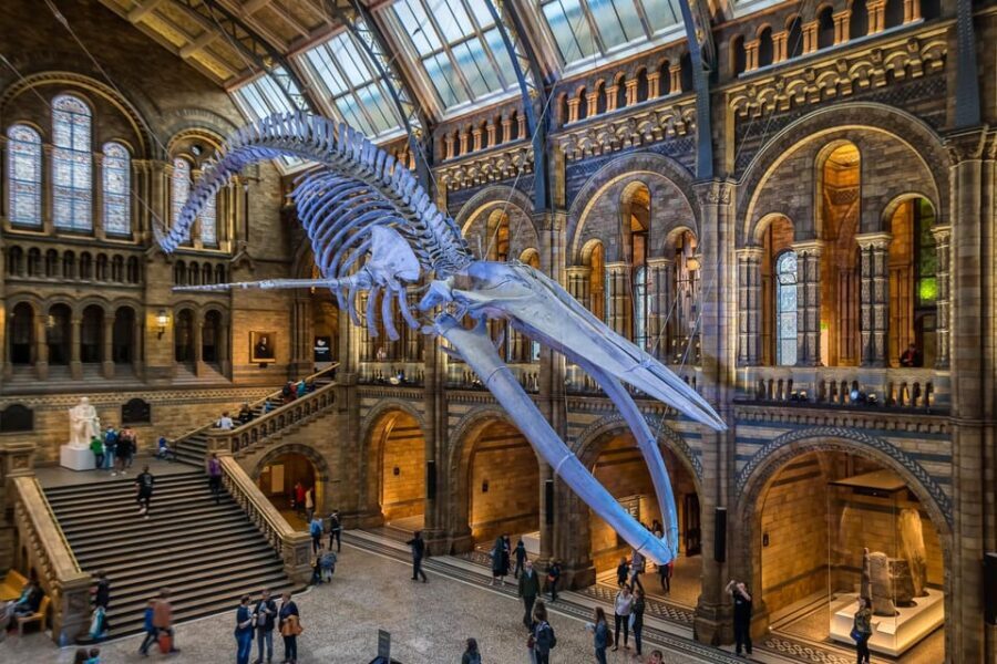London: Guided Tour of the Natural History Museum - What the Reviews Say