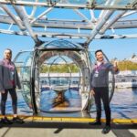 London: Harry Potter Tour with River Cruise & London Eye - Key Points