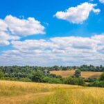 London: Hever Castle & Chartwell House Private Day Tour - Chartwell House: Churchill’s Home and Personal Touches