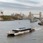 London: Hop-On Hop-Off 1-Day River Sightseeing Adventure - The Route and Piers — What to Expect