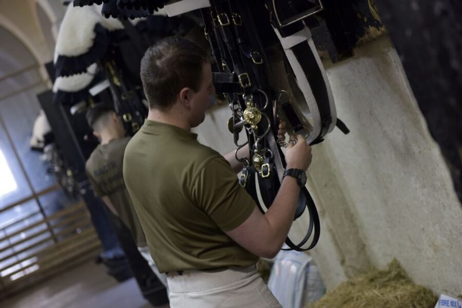 London: Household Cavalry Museum Entry Ticket - The Experience: Pros and Cons