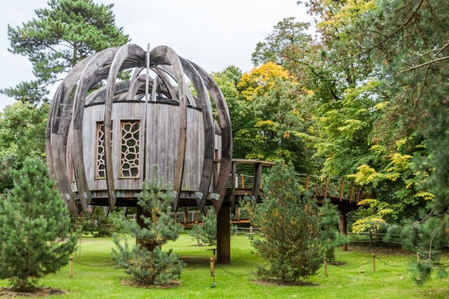 London: Kew Gardens Admission Ticket - The Experience of Visiting Kew Gardens