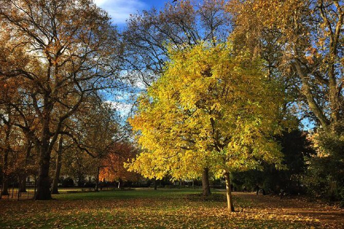 London Literary Private Walking Tour Of Bloomsbury - The Value of a Private Guided Tour