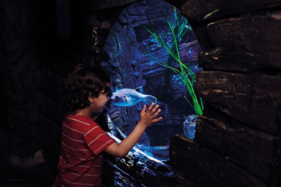 London: Madame Tussauds, London Eye & SEA LIFE Combo Ticket - The Practical Side: Tickets, Timing, and Tips