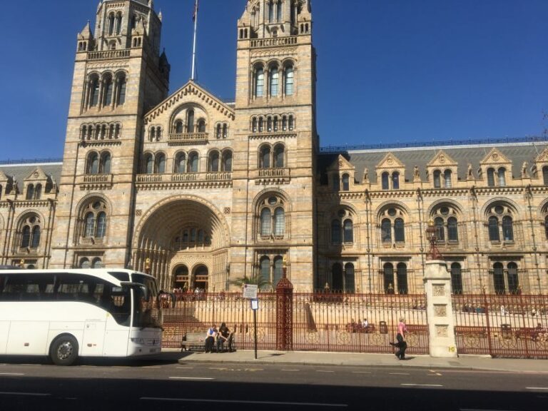 London: Natural History Museum Entry Ticket and Guided Tour - The Tour Experience: What to Expect