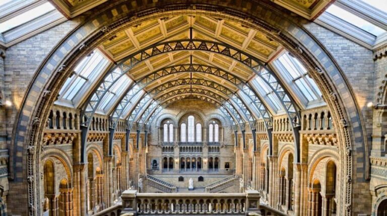 London: Natural History Museum Express Tour & Audio App - Final Thoughts