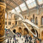 London: Natural History Museum Guided Tour - A Personal Entry into One of Londons Most Famous Museums