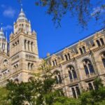 London: Natural History Museum Guided Tour - The Practicalities: Logistics and Value