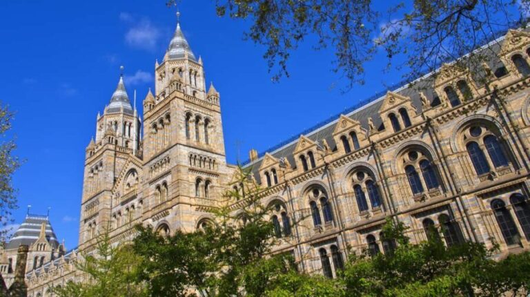 London: Natural History Museum Guided Tour - The Practicalities: Logistics and Value