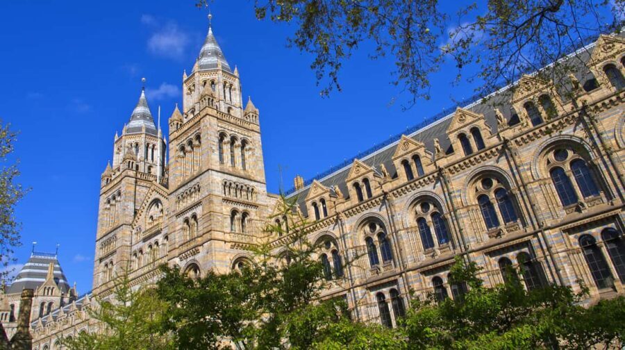 London: Natural History Museum Guided Tour - The Practicalities: Logistics and Value