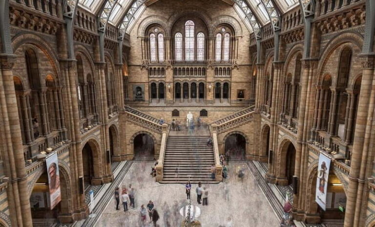 London: Natural History Museum + Guided Tour+ Priority Entry - What Travelers Say: The Good and the Not-So-Good