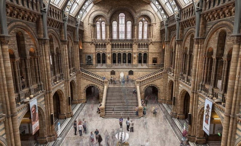 London: Natural History Museum + Guided Tour+ Priority Entry - What Travelers Say: The Good and the Not-So-Good