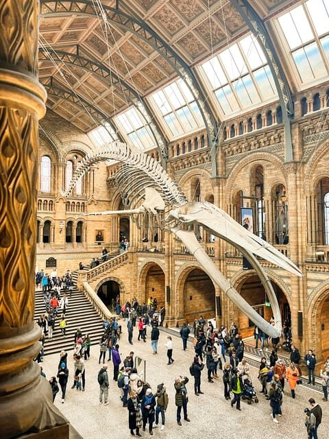 London: Natural History Museum Guided Tour - A Personal Entry into One of Londons Most Famous Museums