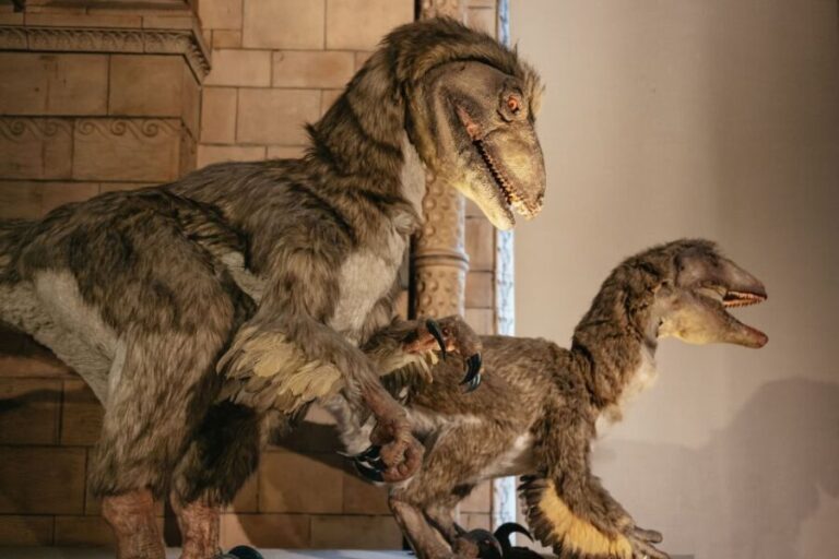 London: Natural History Museum Private Guided Family Tour - Is It Worth the Price?