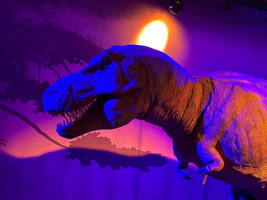 London: Natural History Museum Private Guided Tour - What Our Reviewers Say
