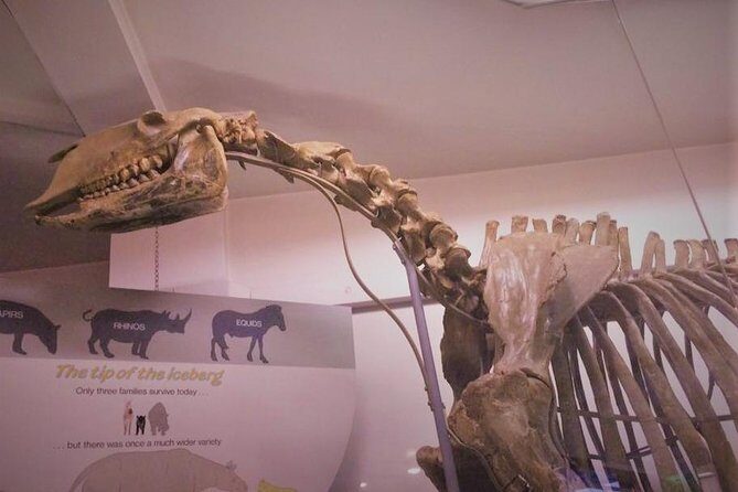 London Natural History Museum Private Tour for Kids & Families - Meeting Outside the Natural History Museum