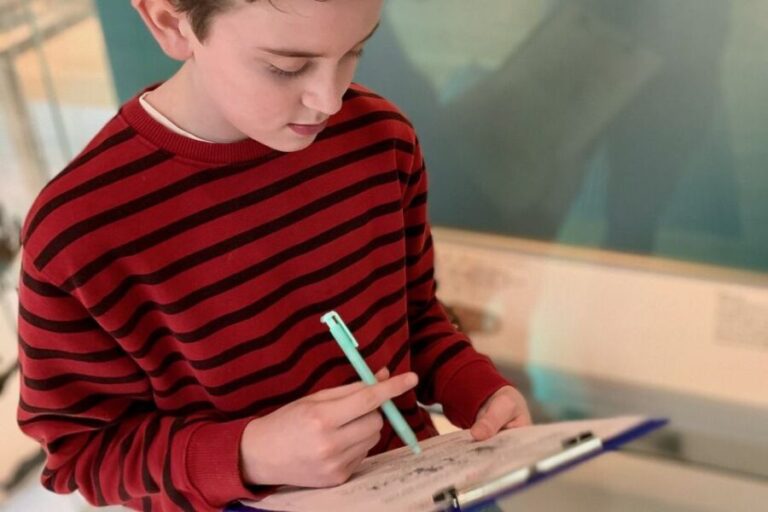 London: Private Kid-Friendly Tour of the British Museum - Authentic Feedback from Families