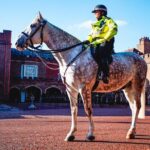 London River Cruise & Westminster Walking Tour - Final Thoughts